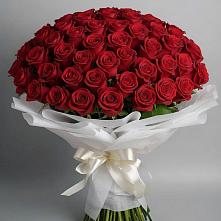 Букет 101 Красная роза Блэк Мэджик в Ромоданово