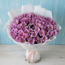 Букет цветов из:  Хризантемы в Ромоданово