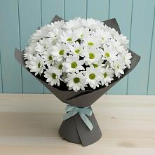 Букет цветов из:  Хризантемы #REPLACE_PRED# Ромоданово