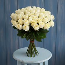 Букет 51 Белая роза Эдлесс Лав в Ромоданово