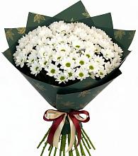 Букет цветов из:  Хризантемы в Ромоданово