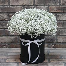 Цветочная композиция из Гипсофила в шляпной коробке в Ромоданово