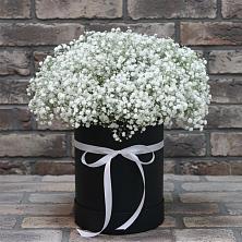 Цветочная композиция из Гипсофила в шляпной коробке в Ромоданово