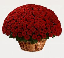 Премиум букет из: Розы в Ромоданово